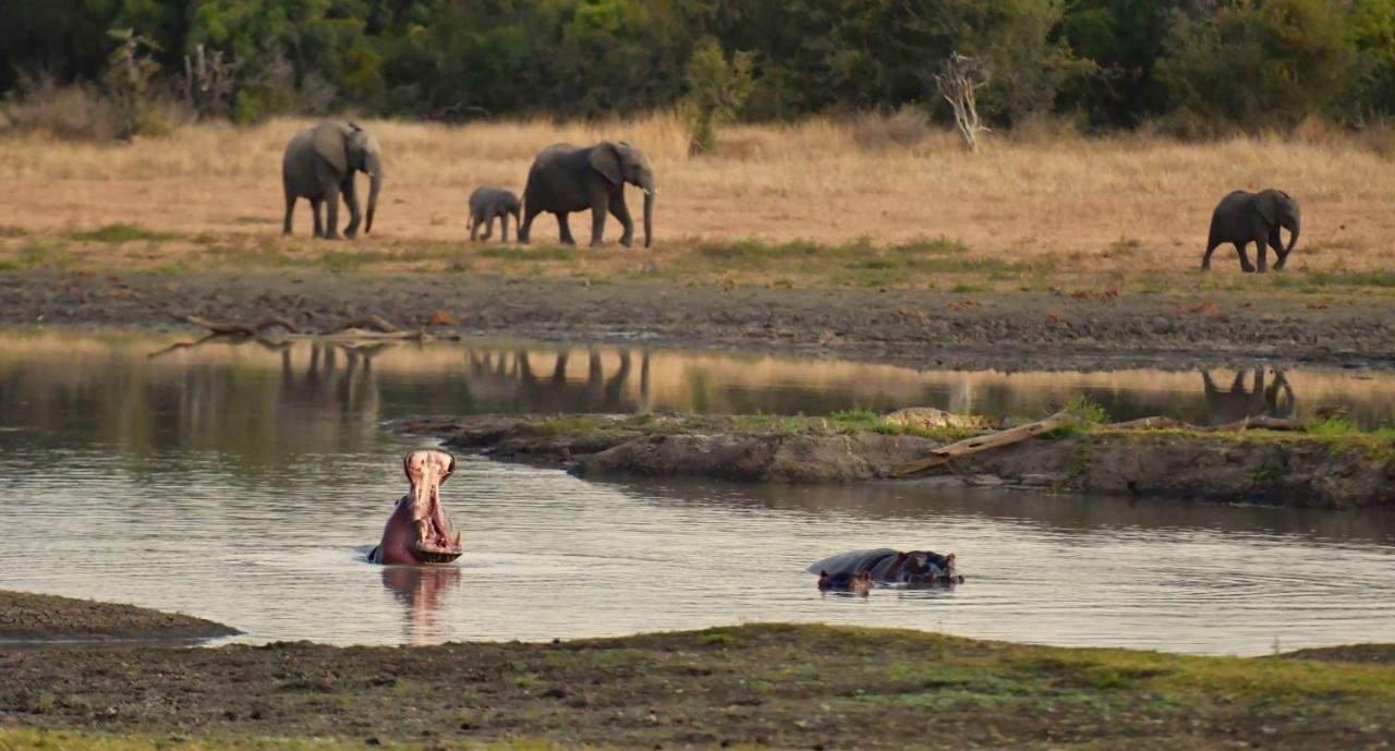 曼耶雷蒂野生动物园Pungwe Safari Camp别墅 外观 照片